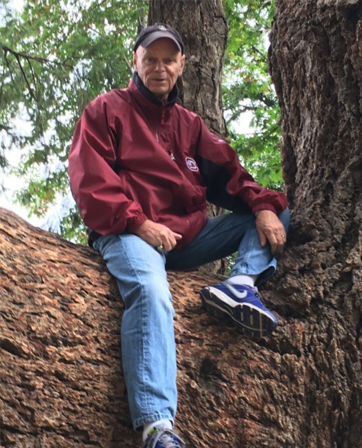 Obituary of Terry M. Hughey