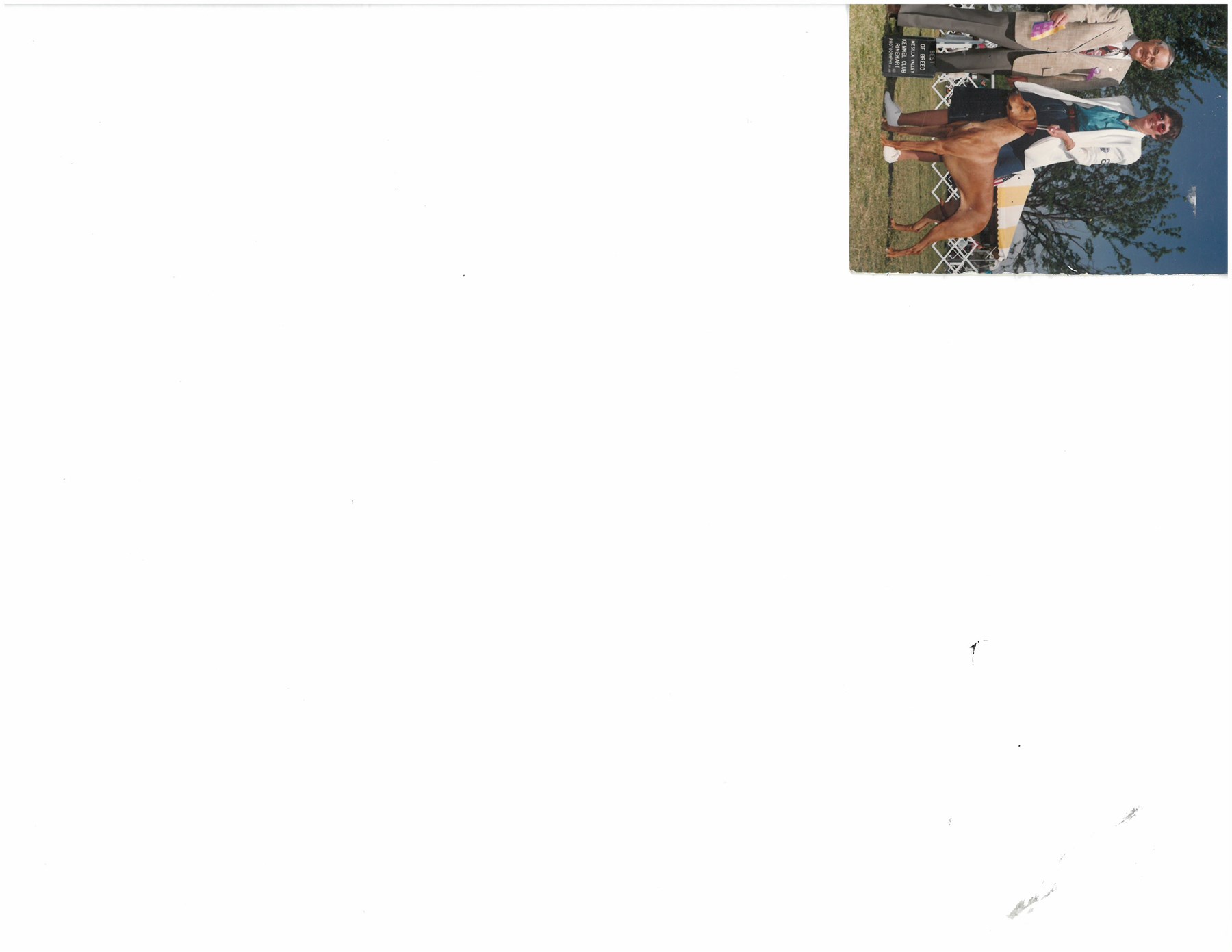 Obituario de Deanna Donnelly