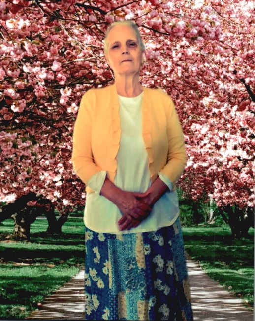 Obituary of Nancy A Orr