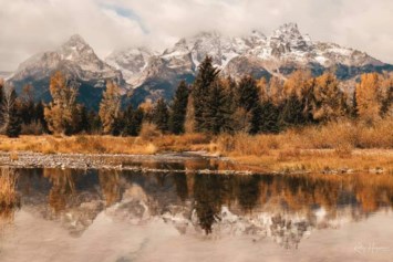 Obituary of Ronnie Carrol Richardson