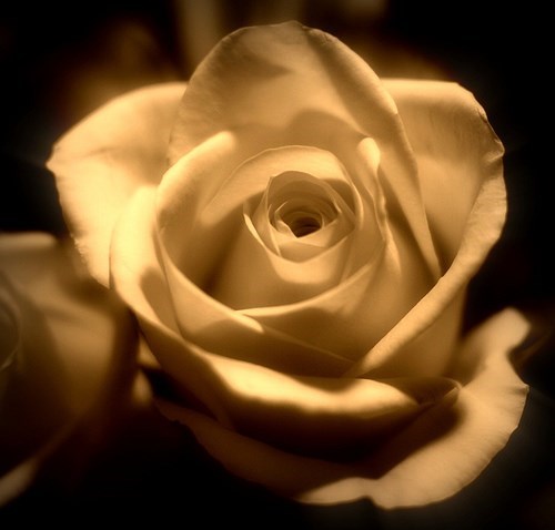 Obituary of Leta Sue Henderson