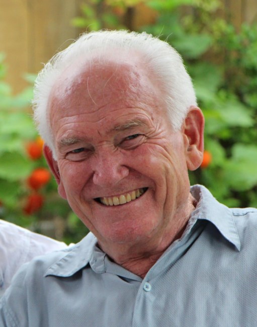 Obituary of Leo (Lodewijk) Martin de Haan