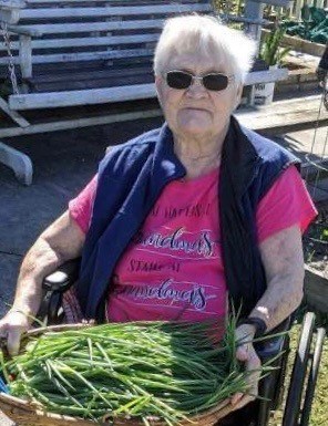 Obituary of Mary Lydia Ballay Parnell