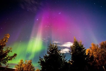 Obituary of Elizabeth Clark