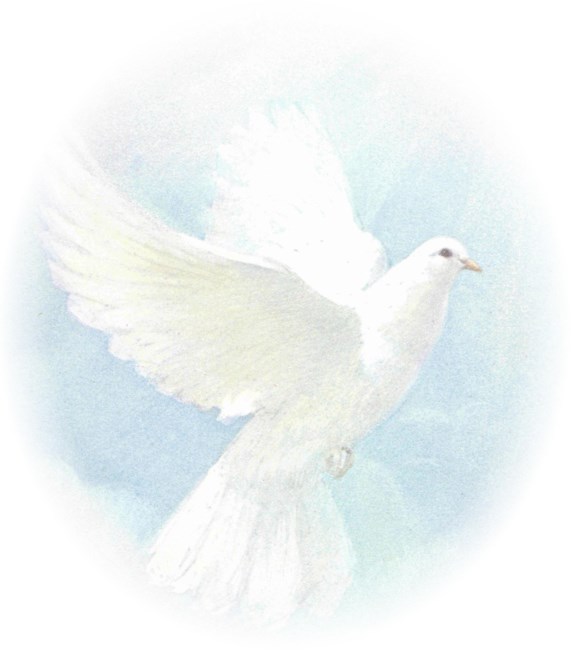 Obituary of Jennifer Buckley Canalizo