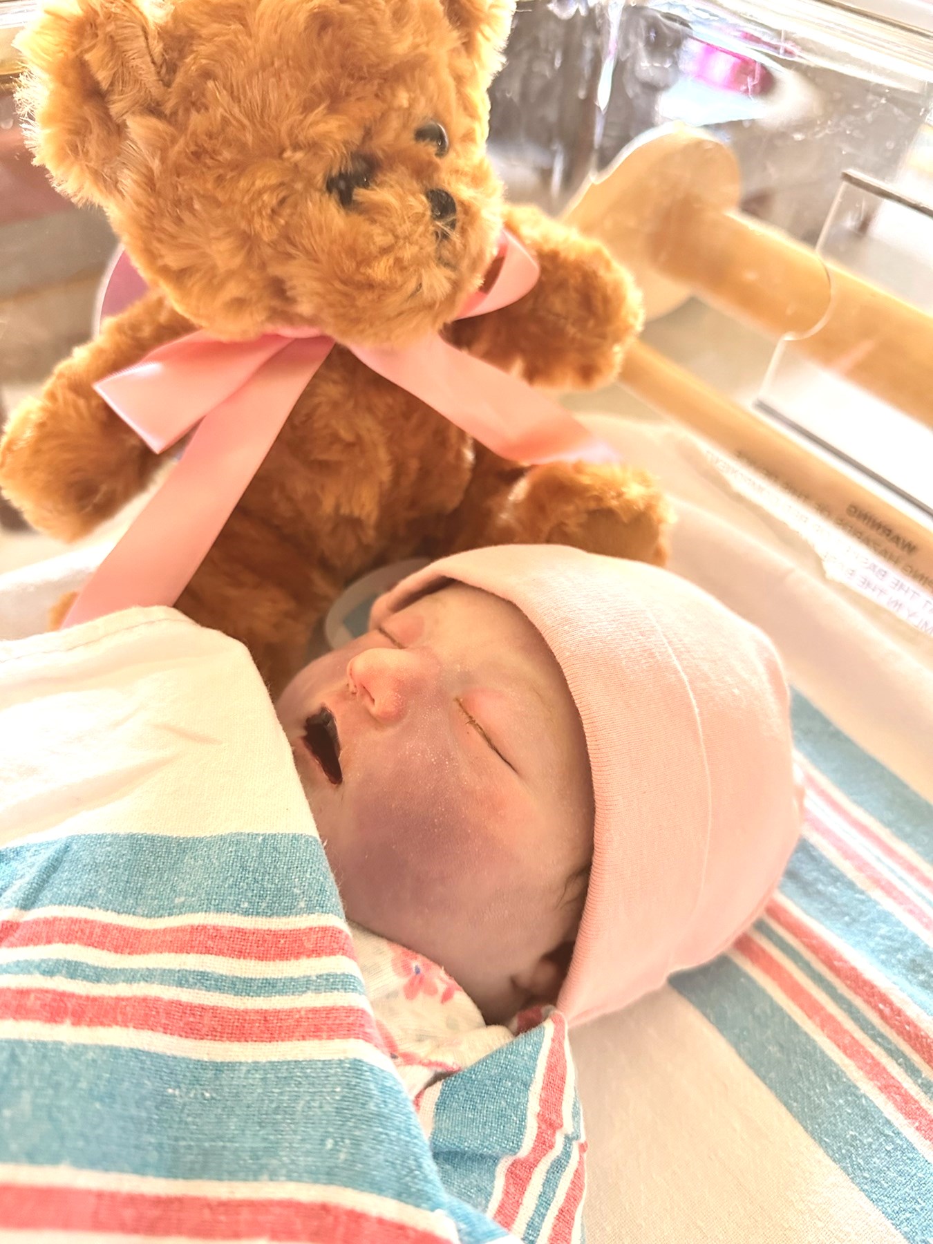 Evie Mae Shipp Obituary Springfield, IL