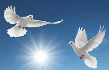Obituary of David Navarro Rodriguez