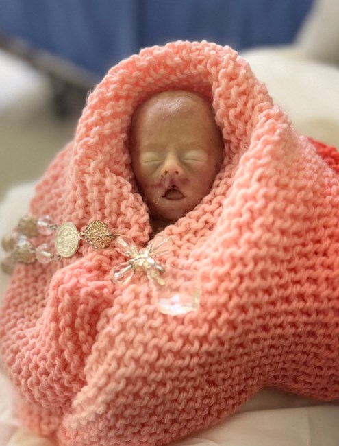 Obituary of Novalyn Linda Seifried