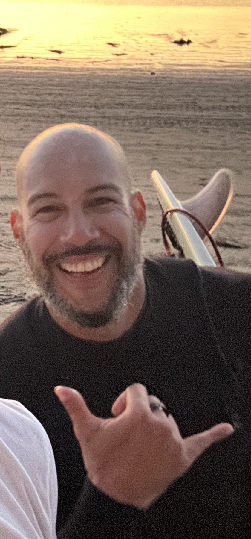 Obituary of Anton Pletikosic