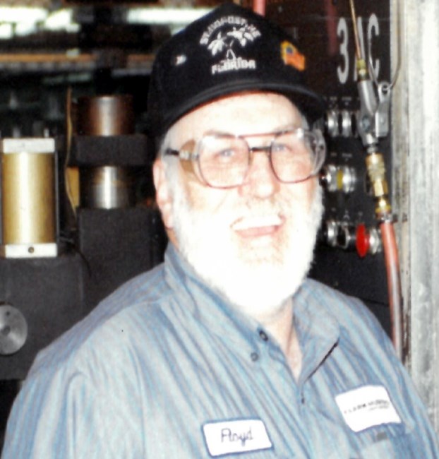 Obituary of Floyd Arnold Rollf