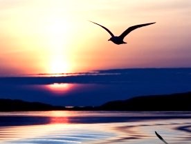 Obituary of Richard James Steinbroner Sr.