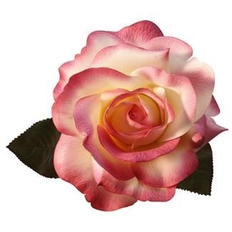 Obituary of Jean Noce