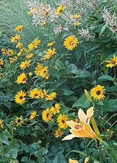 Obituary of Katherine O. Cotton