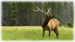 Obituary of Merced Elks Lodge