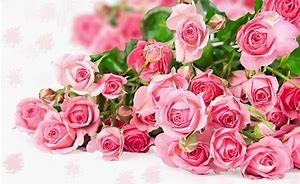 Obituary of Charlotte Diane Alexander