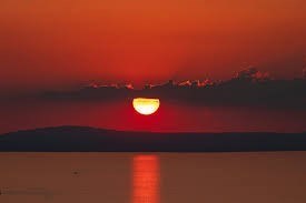 Obituary of Sheila Mary Covert