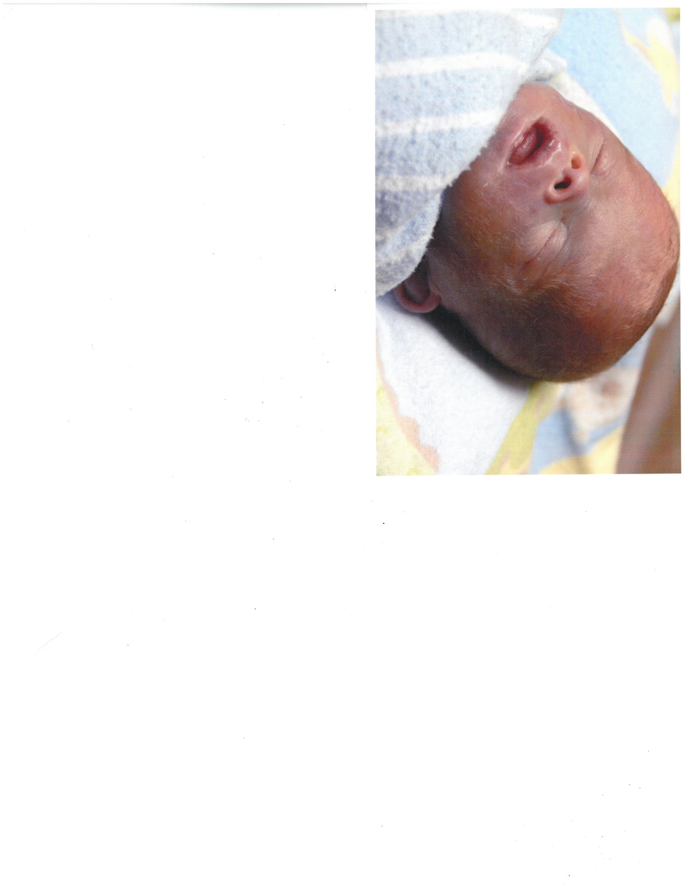 Obituary of Jose Daniel Quevedo