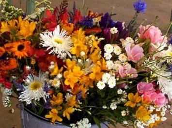 Obituary of Pina L. Masdon