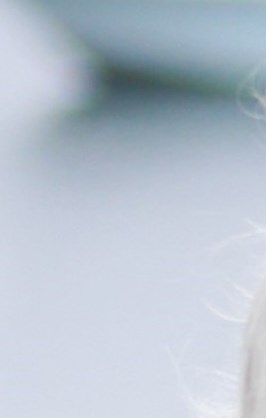 Barbara Helen Rafferty Obituary - Marblehead, MA