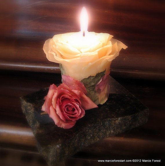 Obituary of Katherine Marie Harlow