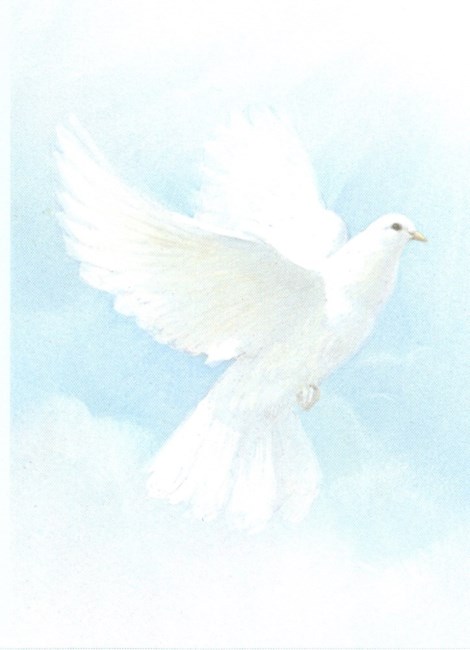 Obituary of Pamela Sue Fara