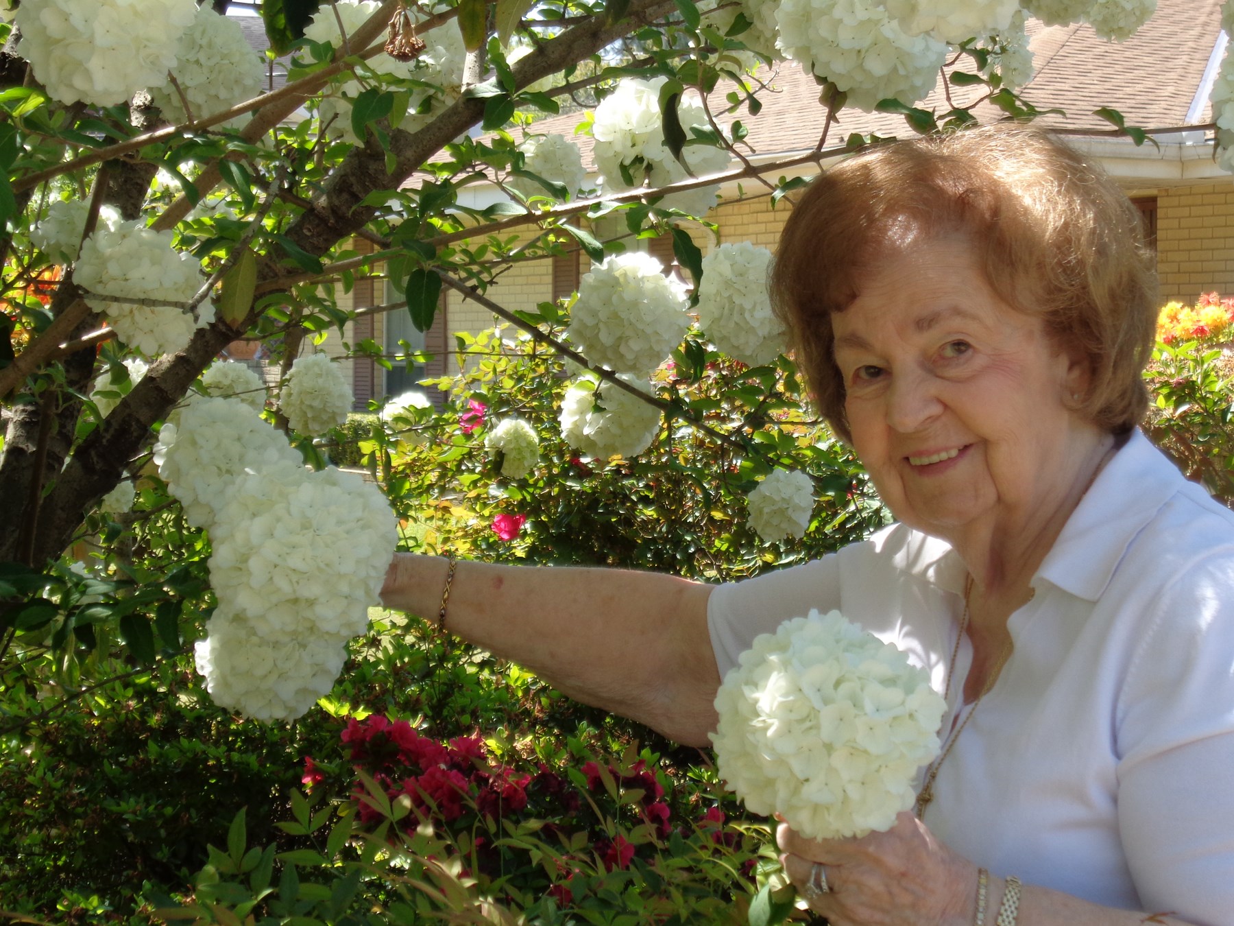 Obituary of Kiki Hirras Polizos