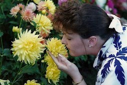 Obituary of Joyce Darlene Dawson