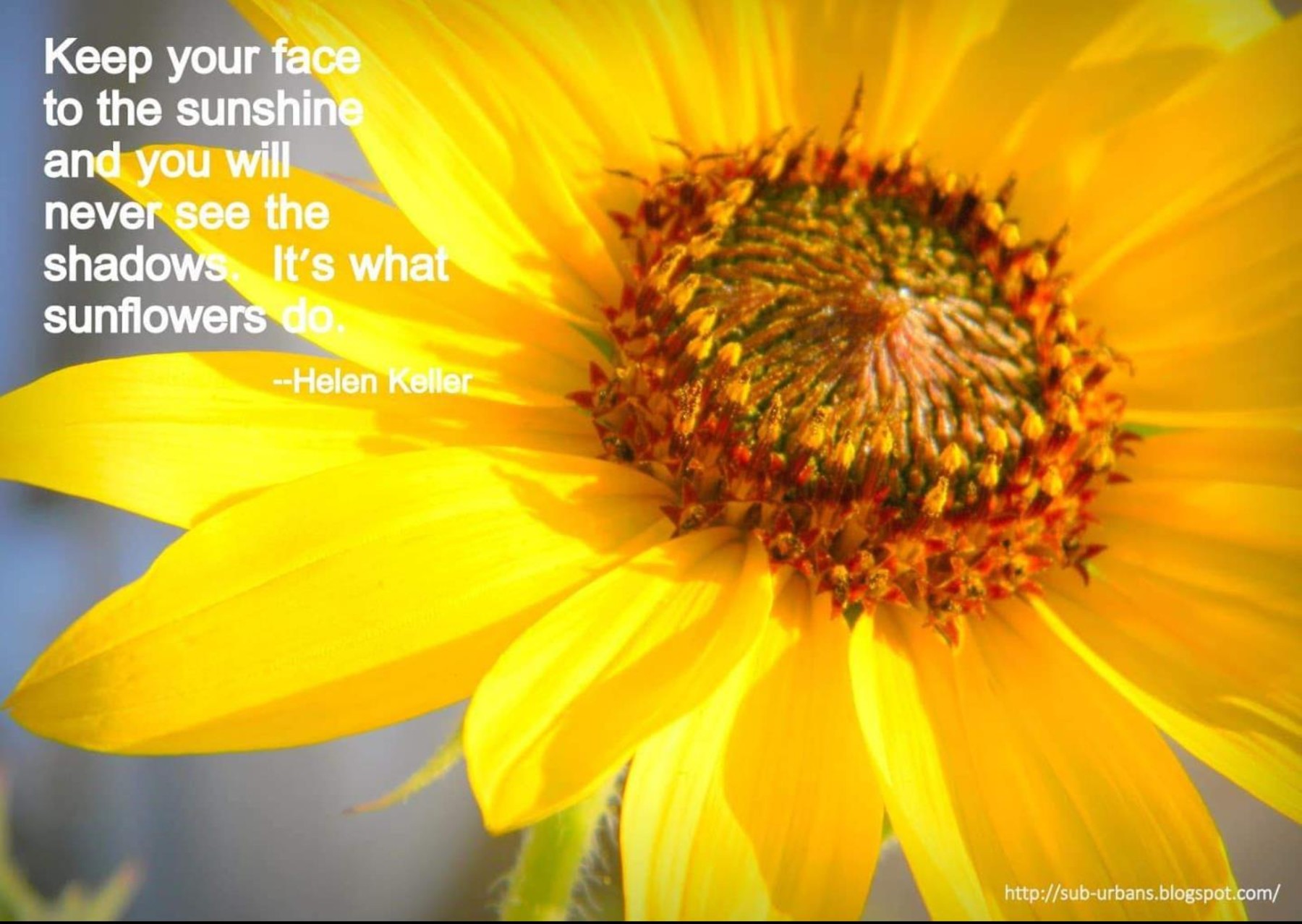 Obituary of Georgette Marie Bourque