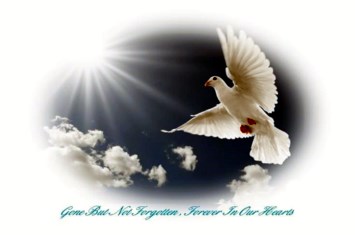 Obituary of Rebecca "Becky" Jean Shotwell