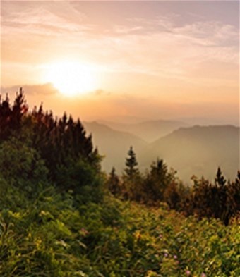 Obituary of Adeline"Granny" Alice Frank