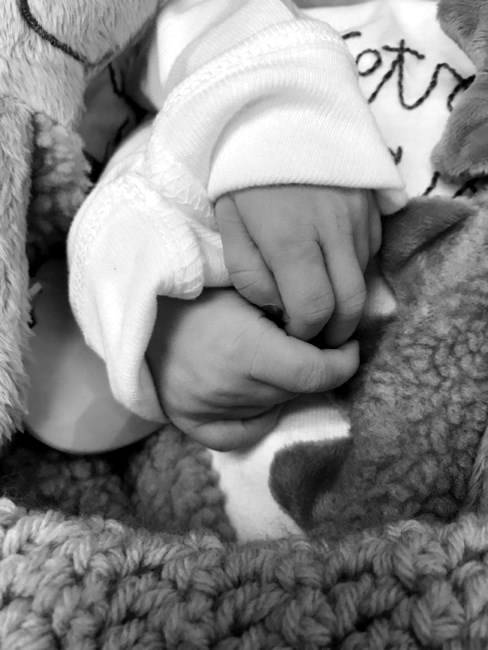 Obituary of Hunter Blakely and Stetson Nash Phelps