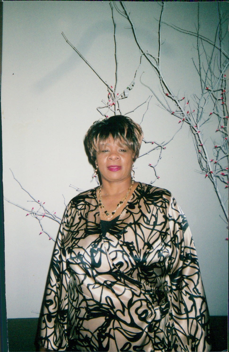 Obituary of Ms. Sallie Perry Catron