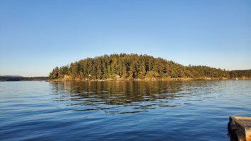 Obituary of Joan Margaret Cox