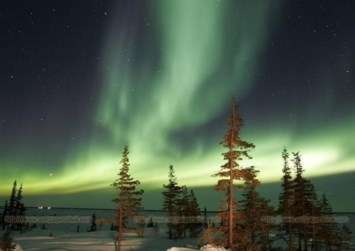 Obituary of Tracy Leigh Delalla