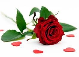 Obituary of Maria Borsa