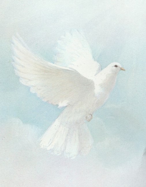Obituary of Virginia Jeanette Harden