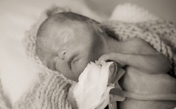 Obituary of Jay Edward Tollefson