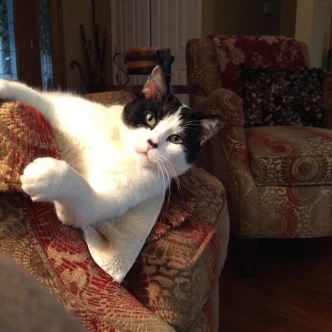 Avis de décès de Willie Otha Turner Jr.