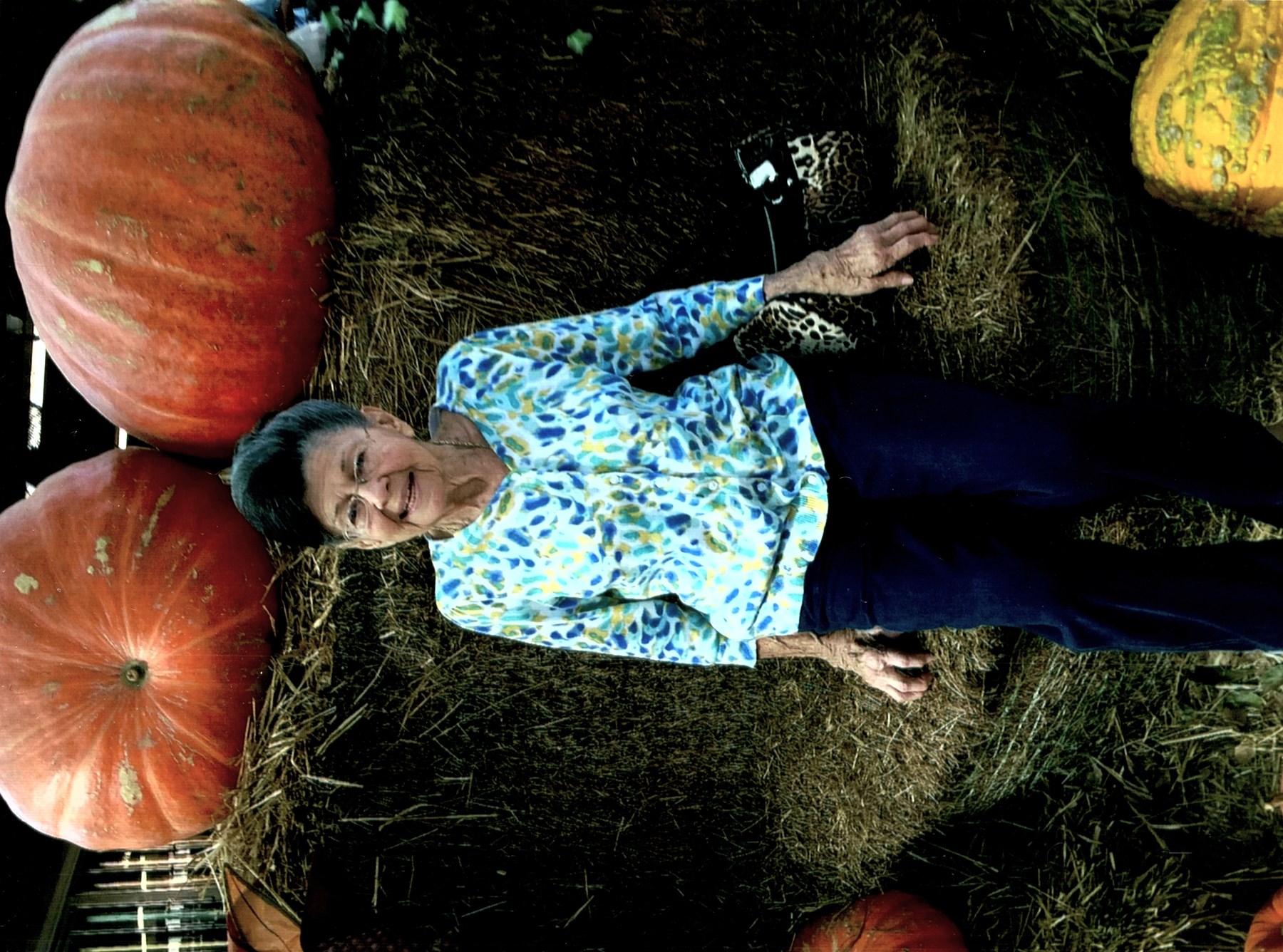 Obituary of Violet L. Korson