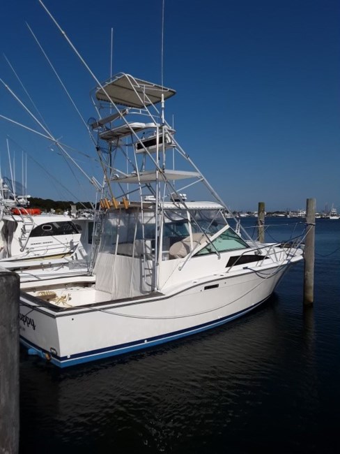 Obituary of Glenn Alan Kani