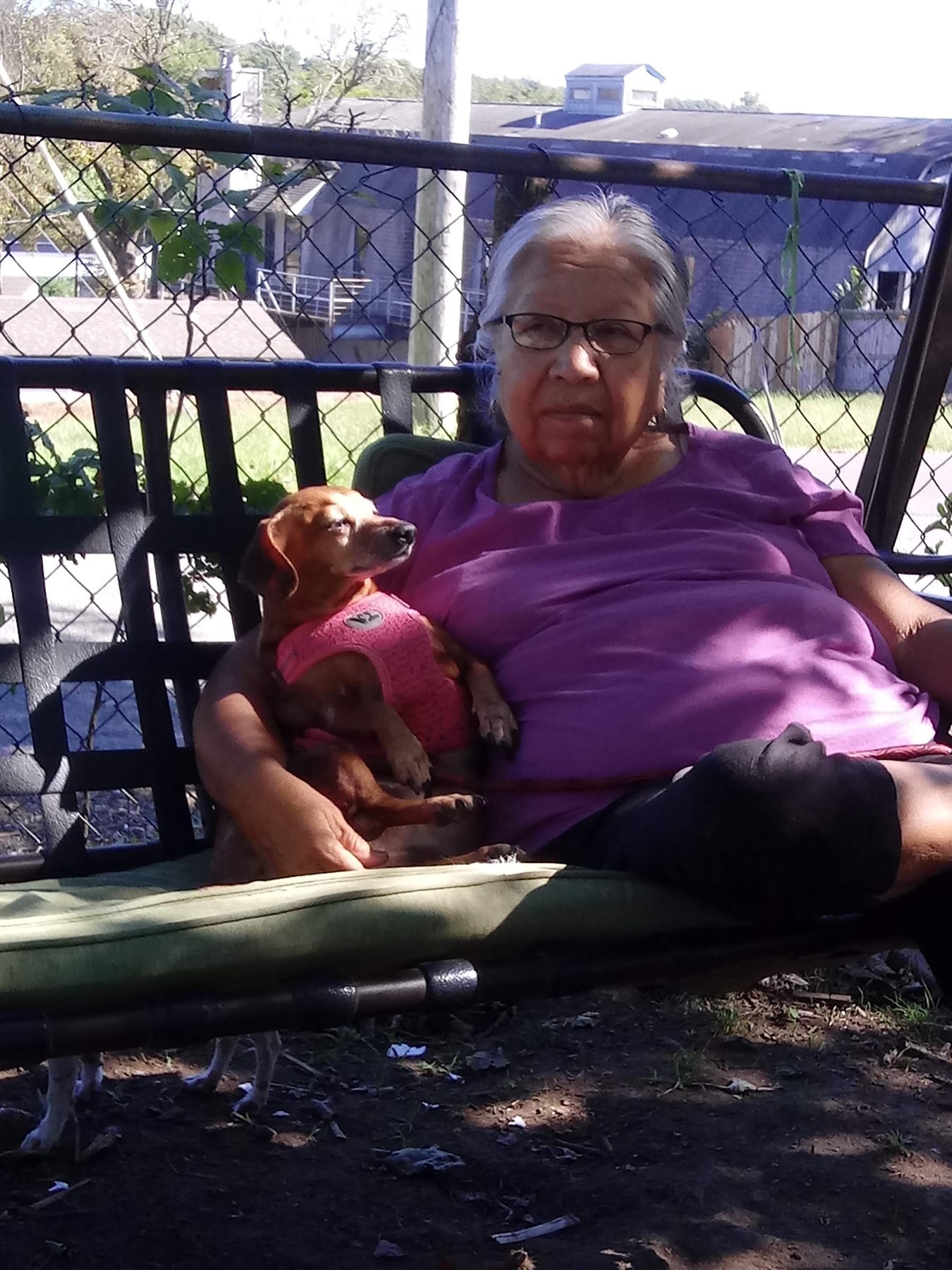 Obituary of Wanda Lee Sanders