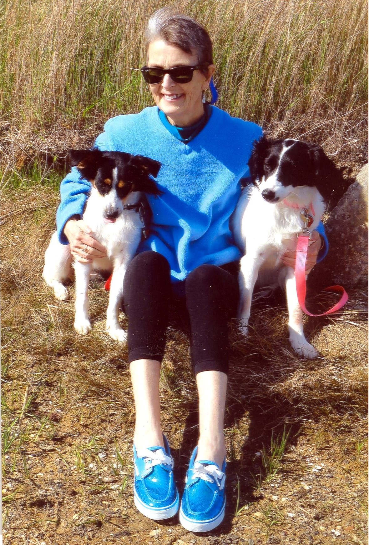 Ann Marie McCarte Obituary Chatham, MA