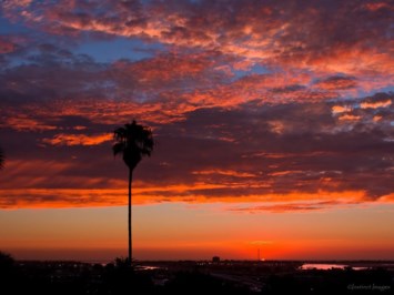 Obituary of Millicent Horne