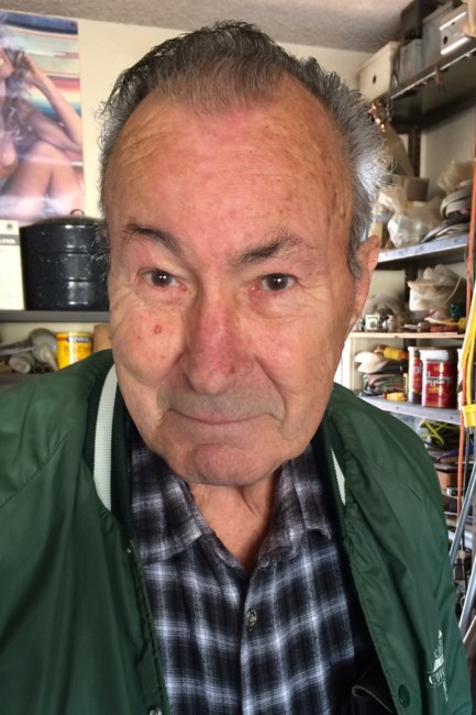 Obituary of Theodore "Ted" Gerard Seip