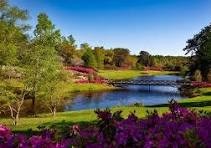 Obituary of Joey Blaine Swinford