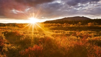 Obituary of Beulah Novak