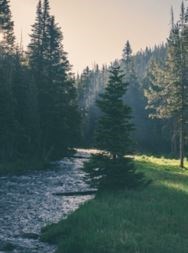 Obituary of Milton S Sandell III