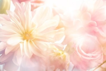 Obituary of Adalyn Marie Elizondo