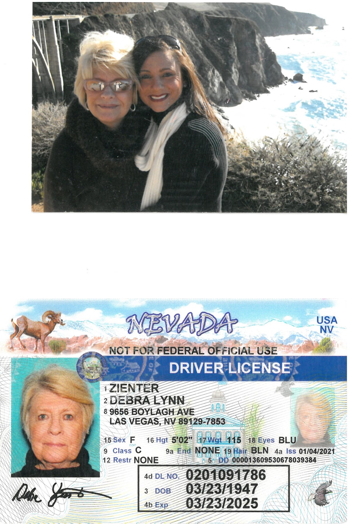 Obituary of Debra Lynn Zienter