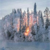 Obituary of Ronald L Swerlein